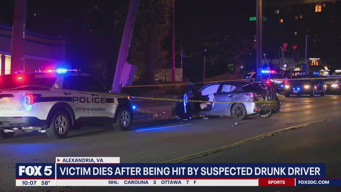 Victim dies after being hit by alleged drunk driver in Alexandria